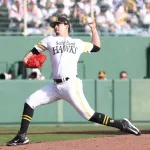 【朗報】SB育成アルメンタ(21)、ガチで凄そう