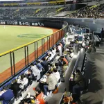 中日ドラゴンズがホームランテラスを付けた結果