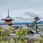 【悲報】京都市バス、よそ者は350～400円へ値上げｗｗｗｗｗｗｗｗｗ