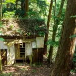 【疑問】山奥でいきなり家建てちゃ駄目なん・・・・・・？
