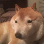 画像でフフッてなったら寝ろwwwwww