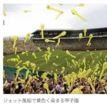 阪神、今季主催試合のチケット史上最速完売へ！　発売開始2日で年間のほぼ全席売り切れ