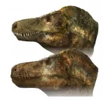 【悲報】 ティラノサウルス、また弱体化されるｗｗｗｗｗｗｗｗｗｗｗ