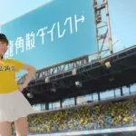 有識者「台湾代表の選手名鑑とチア名鑑を作りました」