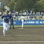 贔屓の試合とWBCが被ったらどっち見る？