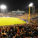 【疑問】野球観戦って外野席は立って応援しなきゃいけないの？
