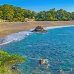 高知県←なに思い浮かべた？