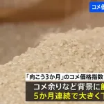 米、安くなる