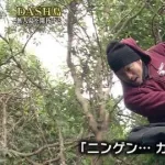 思わず笑った画像貼ってけwww