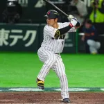 【急募】近藤健介(12-0)が検索してそうなワード