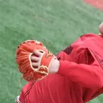 広島カープ5連敗←WBC熱狂でバレてない。