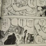 ワンピースの原作、いつものように後付けの能力者の能力を発動