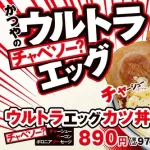 【悲報】かつやさん、凄い頭の悪そうなカツ丼を発売してしまう