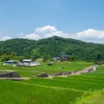 田舎でしか起こらないこと挙げてけ