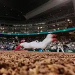 【動画】ゲレーロJr.とソトの片手ヘッスラ、ガチで上手すぎるWWWWWWWWWWWWWWW