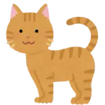 5000円の猫飼うか　5万の猫飼うか迷ってる