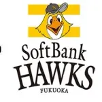 【実況・雑談用】3/14オープン戦　横浜DeNAベイスターズvs福岡ソフトバンクホークス