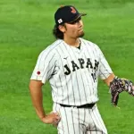 伊藤大海(2025)「2.52 14勝 8敗 195奪三振 WHIP1.06」　←沢村賞