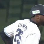 西武カナリオ、ヘルマンだった！