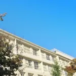 「おいこれ義務教育に加えた方がいいだろ……」ってなった教科ｗｗｗｗｗｗｗｗｗｗｗｗｗｗｗ