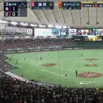 オープン戦「シーズン成績に影響ありません」←観戦客がいる理由