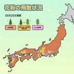 【朗報】スギ花粉、ピークアウトｗｗｗｗｗｗｗｗｗｗｗｗ