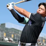 【悲報】村上宗隆さん、OP戦の三振率28%