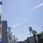 広島カープ『武者絵のぼり』日本画イラスト全20本!開幕期間限定で設置