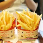 【なんJ】( ヽ´ん`)「ポテトのLとMをよく聞き間違えられるからジェスチャーで伝えてる」