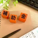 【悲報】国からの補助金たんまりなのに太陽光つけない人、EV買わない人←バカの典型ですｗｗｗｗｗｗｗｗｗｗｗｗｗｗｗｗ