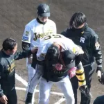 阪神・百崎蒼生、今季1号から一夜明けてアクシデント…左足首付近への自打球で北川コーチに背負われベンチへ