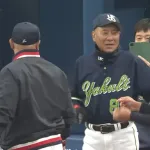 ヤクルト、強い