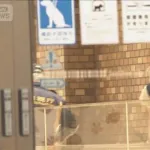 ポケセン広川、被害者と自分を「交互に」刺し続けていた