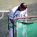 【朗報】福留孝介さん、蘇る