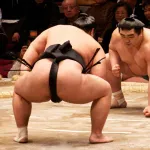 【朗報】相撲業界（年々入門者が減ってる。ただ食っていける『十両以上』の人数は一定）←これ狙い目じゃない？ｗｗｗｗｗｗｗｗｗｗｗｗｗｗｗｗ