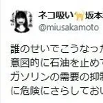 坂本龍一娘「誰のせいで石油不足になったと思っているんだ」と自民党を批判