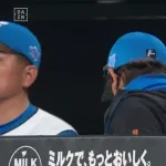 【悲報】今シーズン パリーグのダントツ優勝候補だった日ハム なんだか弱い