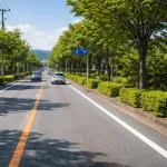 【超悲報】日本の片側一車線の道路、道路交通法改正でガチで逝くwwwwwww
