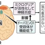 【悲報】「ASD」「ADHD」「不安障害」「双極性障害」←この中に1つだけガチで救いがない障害が混じってるｗｗｗｗｗｗｗｗｗｗ
