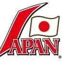 北京五輪星野ジャパンのメンバーって最強なのになんで負けたの？