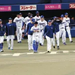 【朗報】サカナクションの歌詞に(5連敗)をつけると中日ドラゴンズになることが判明