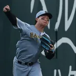 野球やってる奴ほどテルより森下の方がヤバい打者って言うよな