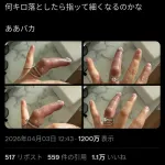 【悲報】中川翔子さん、とんでもないことになってしまう・・・・・