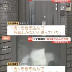 【悲報】ポケモンセンター刺殺・広川大起(26)、ママが見守ることを条件に釈放されていた…………