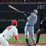 【悲報】本日のホームラン、14本も出てしまう…