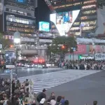 【動画】渋谷交差点放火事件、警察さんが燃えるガソリンに水バシャバシャかけてしまうｗｗｗｗｗｗｗｗｗｗ