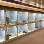 【悲報】ペットショップ店長(67)、従業員を日本刀で脅し懲役30年が確定してしまう・・・・・・・・・