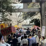 【画像】東京人さん、花見のために上野公園に殺到してしまうwwwwwwwwww
