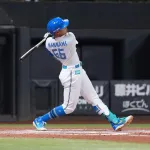 【悲報】NPB 12球団ホームラン数、明らかに異常ｗｗｗｗｗｗｗｗｗｗｗ