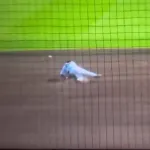 阪神タイガースのディベイニーの守備